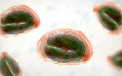 Cyclosporiasis Outbreak Raises Health Concerns: What You Need to Know to Stay Safe