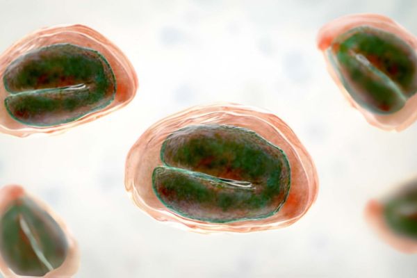 Cyclosporiasis Outbreak Symptoms, Causes, and How to Stay Safe